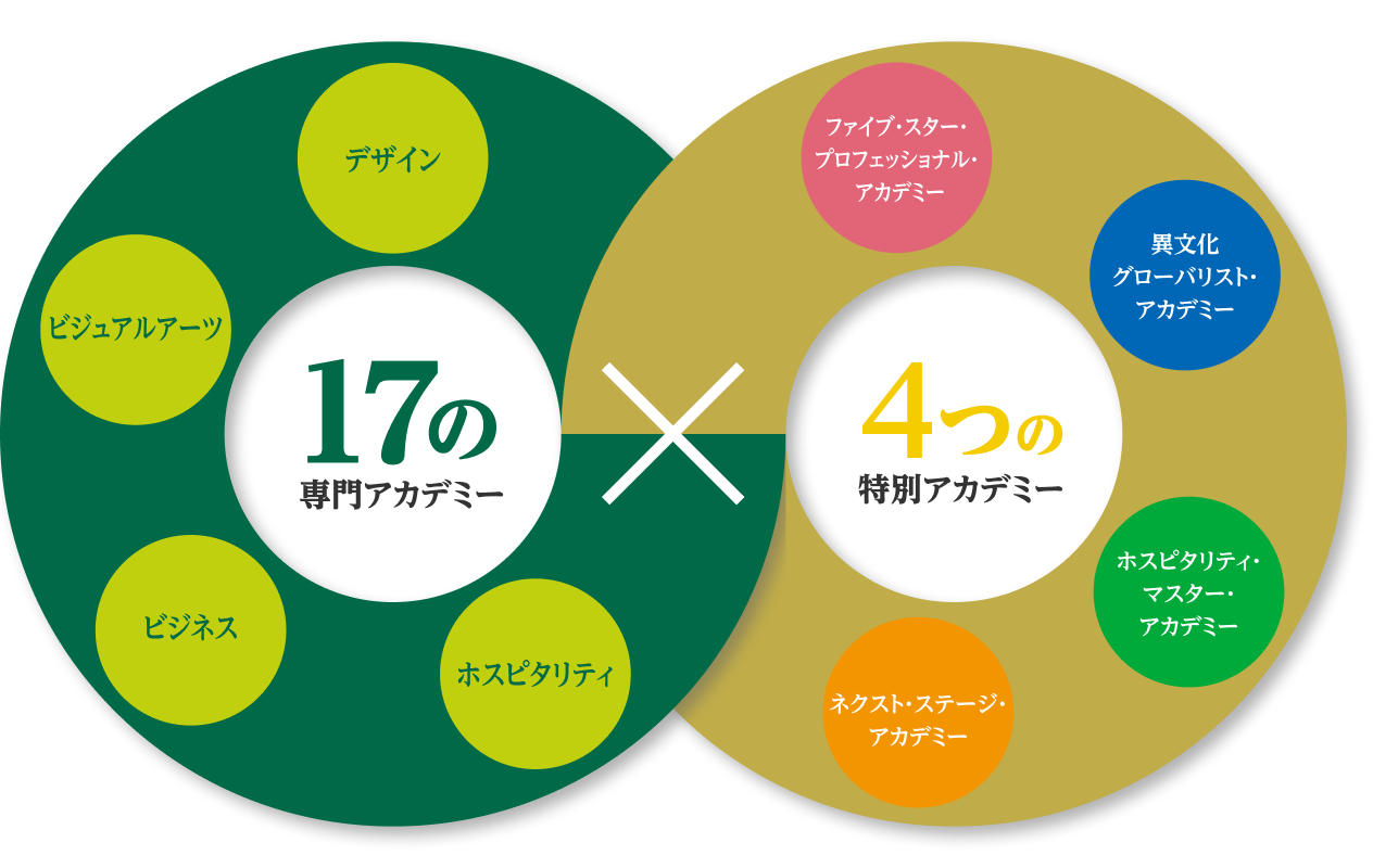17の専門アカデミー 45の専門分野