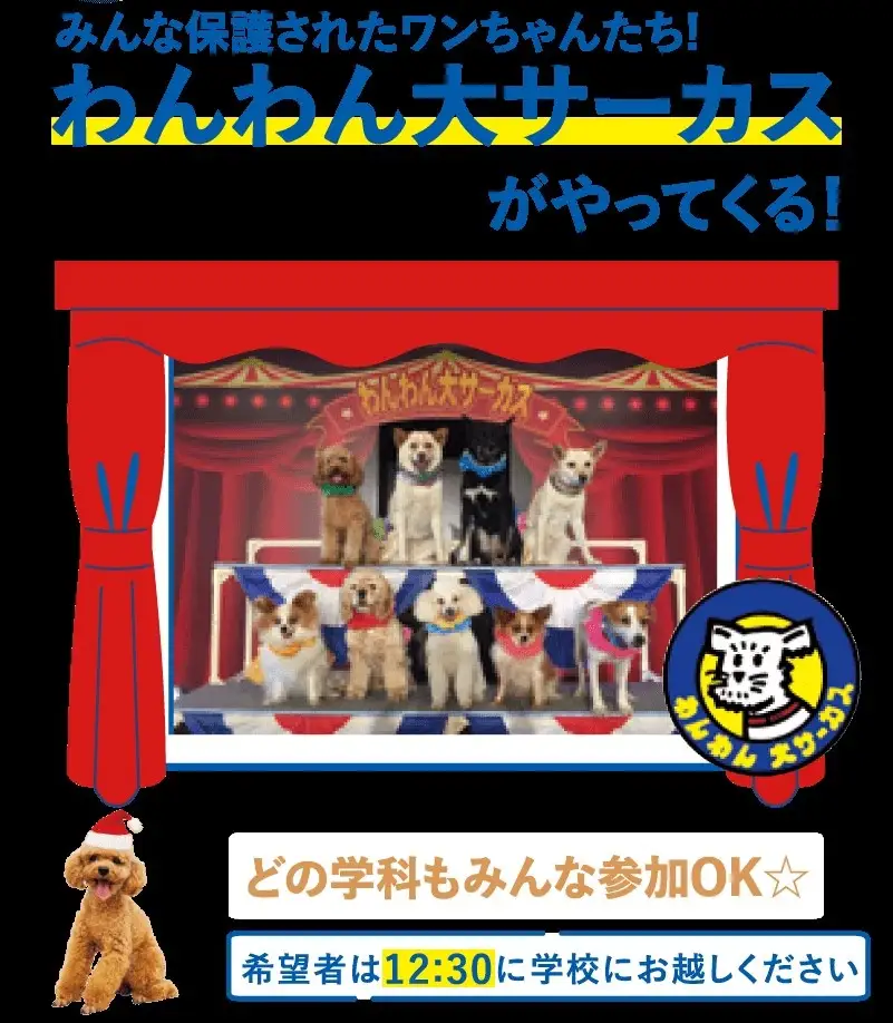 ワンちゃんサーカス_231205